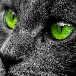 Meet your Posher, M a